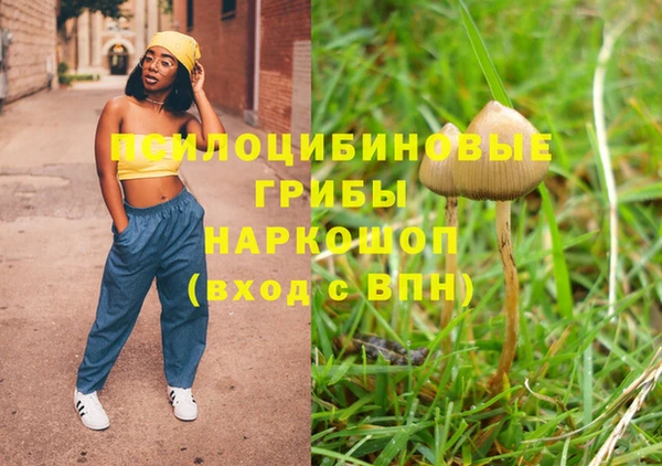 соль ск Алексин