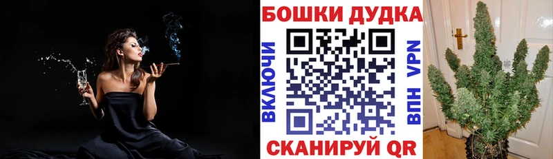 как найти   Луза  Конопля ГИДРОПОН 